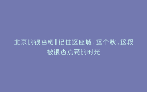 北京的银杏树‖记住这座城，这个秋，这段被银杏点亮的时光