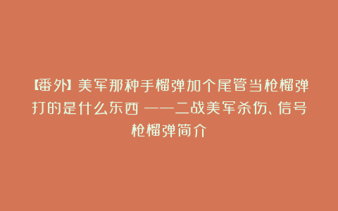 【番外】美军那种手榴弹加个尾管当枪榴弹打的是什么东西？——二战美军杀伤、信号枪榴弹简介