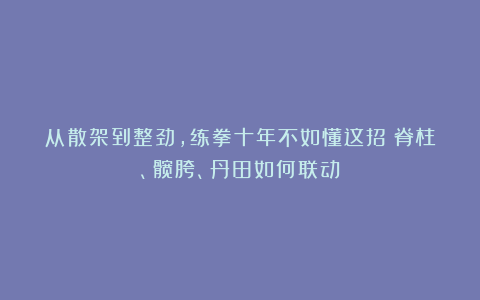 从散架到整劲，练拳十年不如懂这招！脊柱、髋胯、丹田如何联动？