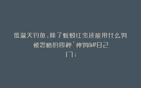 低温天钓鱼,除了蚯蚓红虫还能用什么饵?被忽略的四种’神饵’