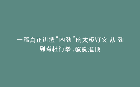 一篇真正讲透“内劲”的太极好文：从掤劲到脊柱行拳，醍醐灌顶！