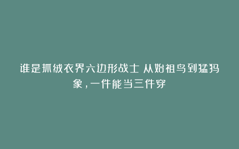 谁是抓绒衣界六边形战士？从始祖鸟到猛犸象，一件能当三件穿！