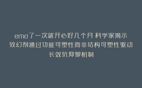 emo了一次就开心好几个月？科学家揭示致幻剂通过功能可塑性而非结构可塑性驱动长效抗抑郁机制