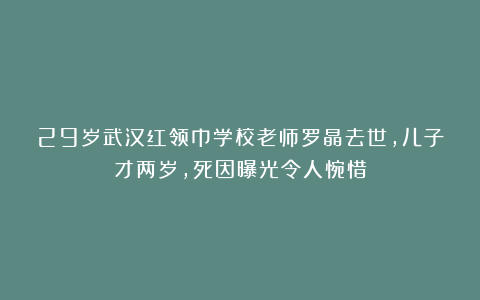 29岁武汉红领巾学校老师罗晶去世，儿子才两岁，死因曝光令人惋惜