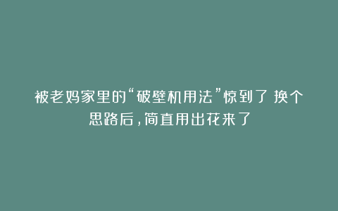 被老妈家里的“破壁机用法”惊到了！换个思路后，简直用出花来了