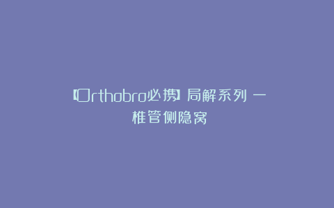 【Orthobro必携】局解系列（一）：椎管侧隐窝