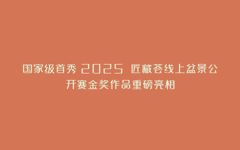 国家级首秀！2025 匠藏荟线上盆景公开赛金奖作品重磅亮相