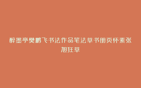 醉墨亭樊鹏飞书法作品笔法草书册页怀素张旭狂草