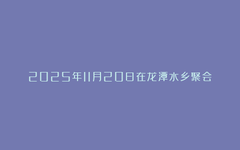 2025年11月20日在龙潭水乡聚会