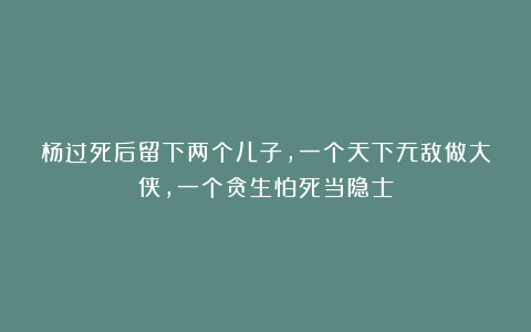 杨过死后留下两个儿子，一个天下无敌做大侠，一个贪生怕死当隐士