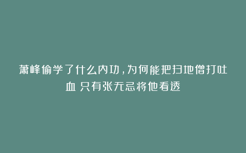 萧峰偷学了什么内功，为何能把扫地僧打吐血？只有张无忌将他看透