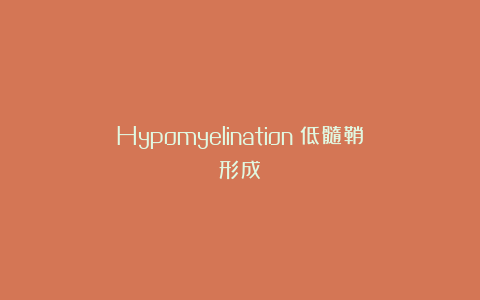Hypomyelination（低髓鞘形成）