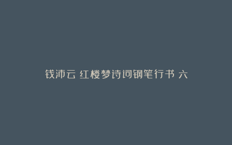 钱沛云《红楼梦诗词钢笔行书》六