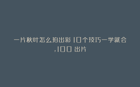 一片秋叶怎么拍出彩？10个技巧一学就会，100%出片！