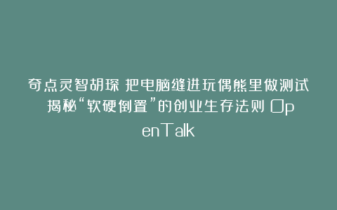 奇点灵智胡琛：把电脑缝进玩偶熊里做测试？揭秘“软硬倒置”的创业生存法则丨OpenTalk
