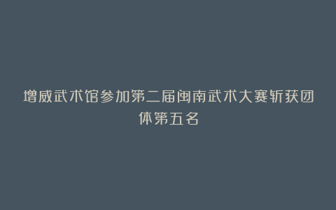 增威武术馆参加第二届闽南武术大赛斩获团体第五名
