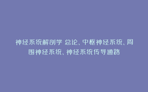 神经系统解剖学：总论、中枢神经系统、周围神经系统、神经系统传导通路