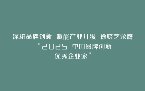 深耕品牌创新 赋能产业升级 徐晓艺荣膺 “2025 中国品牌创新优秀企业家”