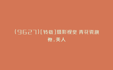 (9627)[转载]摄影视觉：青花瓷旗袍，美人