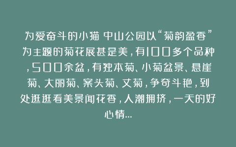 为爱奋斗的小猫：中山公园以“菊韵盈香”为主题的菊花展甚是美，有100多个品种，500余盆，有独本菊、小菊盆景、悬崖菊、大丽菊、案头菊、丈菊，争奇斗艳，到处逛逛看美景闻花香，人潮拥挤，一天的好心情…