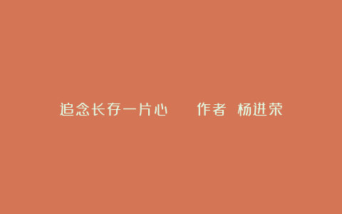 追念长存一片心 || 作者 杨进荣