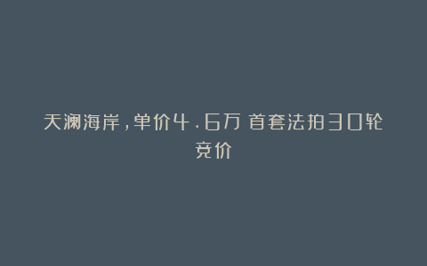天澜海岸，单价4.6万！首套法拍30轮竞价