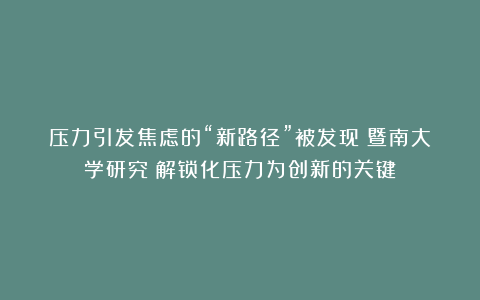 压力引发焦虑的“新路径”被发现！暨南大学研究：解锁化压力为创新的关键
