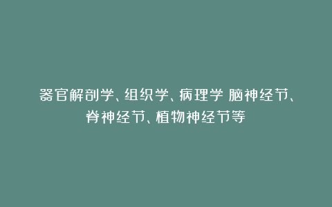 器官解剖学、组织学、病理学（脑神经节、脊神经节、植物神经节等）