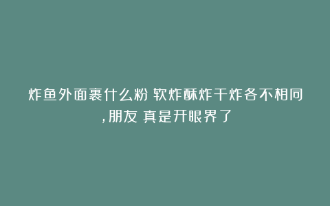 炸鱼外面裹什么粉？软炸酥炸干炸各不相同，朋友：真是开眼界了