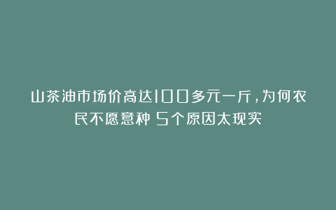 山茶油市场价高达100多元一斤，为何农民不愿意种？5个原因太现实