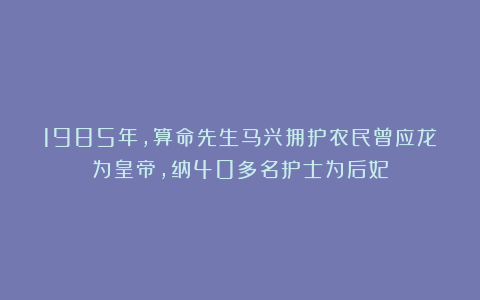 1985年，算命先生马兴拥护农民曾应龙为皇帝，纳40多名护士为后妃