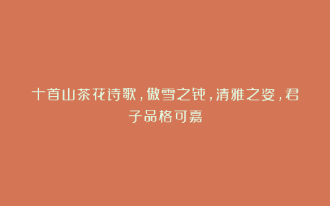 十首山茶花诗歌，傲雪之骨，清雅之姿，君子品格可嘉