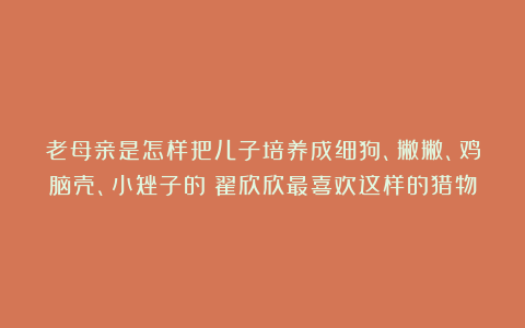 老母亲是怎样把儿子培养成细狗、撇撇、鸡脑壳、小矬子的？翟欣欣最喜欢这样的猎物