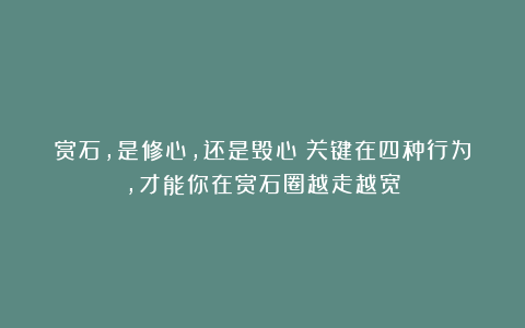 赏石，是修心，还是毁心？关键在四种行为，才能你在赏石圈越走越宽