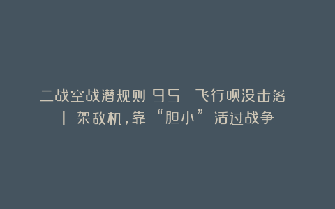 二战空战潜规则：95% 飞行员没击落 1 架敌机，靠 “胆小” 活过战争