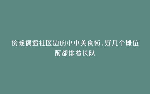 傍晚偶遇社区边的小小美食街，好几个摊位前都排着长队