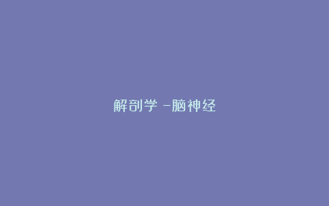 解剖学㉚–脑神经