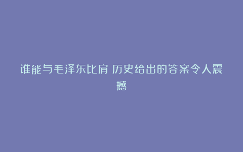 谁能与毛泽东比肩？历史给出的答案令人震撼！