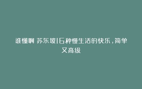 谁懂啊！苏东坡16种慢生活的快乐，简单又高级