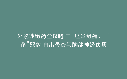 外泌体给药全攻略（二）：经鼻给药，一“路”双效！直击鼻炎与脑部神经疾病