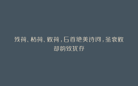 残荷、枯荷、败荷，6首绝美诗词，虽衰败却韵致犹存