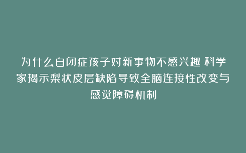 为什么自闭症孩子对新事物不感兴趣？科学家揭示梨状皮层缺陷导致全脑连接性改变与感觉障碍机制
