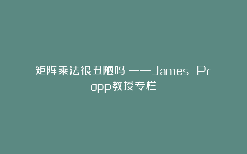 矩阵乘法很丑陋吗？——James Propp教授专栏
