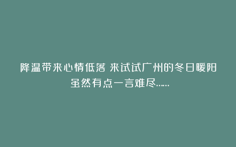降温带来心情低落？来试试广州的冬日暖阳！虽然有点一言难尽……