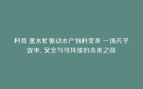 科普丨黑水虻驱动水产饲料变革：一场关乎效率、安全与可持续的未来之战