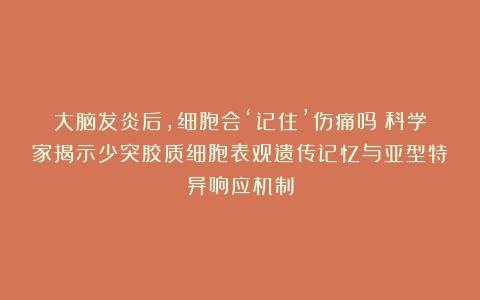 大脑发炎后，细胞会‘记住’伤痛吗？科学家揭示少突胶质细胞表观遗传记忆与亚型特异响应机制