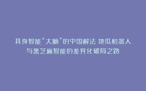 具身智能“大脑”的中国解法：地瓜机器人与黑芝麻智能的差异化破局之路