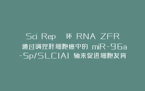 Sci Rep | 环 RNA ZFR 通过调控肝细胞癌中的 miR-96a-5p/SLC1A1 轴来促进细胞发育
