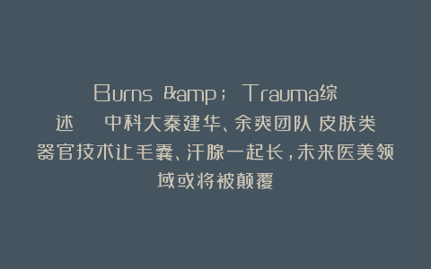 Burns & Trauma综述 | 中科大秦建华、余爽团队：皮肤类器官技术让毛囊、汗腺一起长，未来医美领域或将被颠覆！
