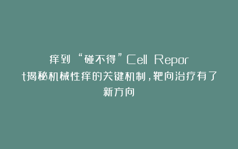 痒到 “碰不得”？Cell Report揭秘机械性痒的关键机制，靶向治疗有了新方向！